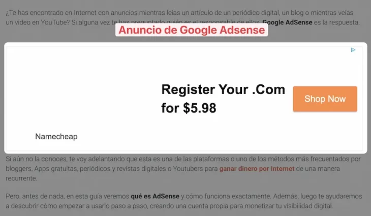 Google Adsense - Diccionario SEO - NinjaSEO 